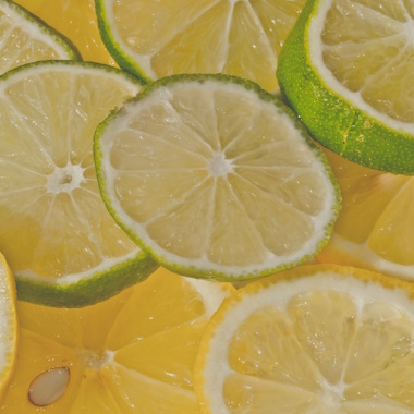 Limes & Lemons Limes & Lemons