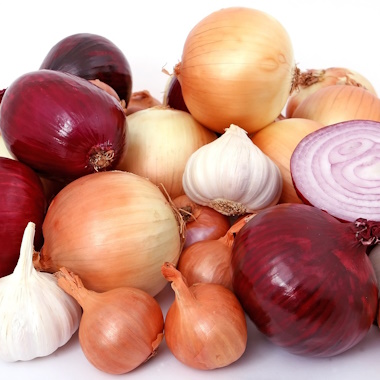 Bulb Vegetables Bulb Vegetables