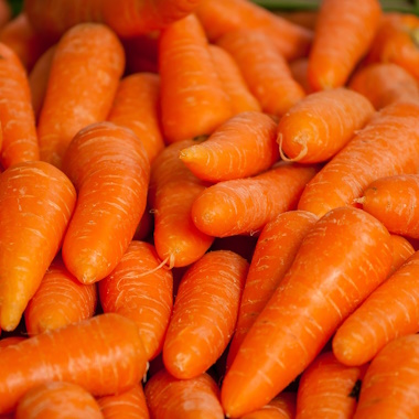 Root Vegetables Root Vegetables