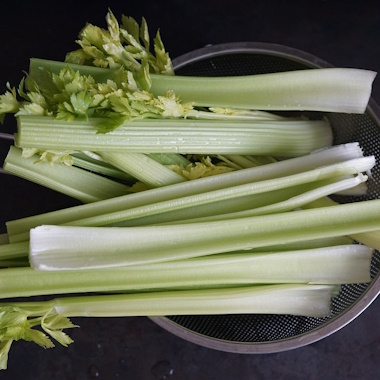 Stem Vegetables