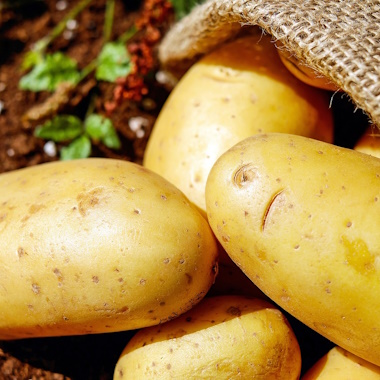 Tuber Vegetables Tuber Vegetables
